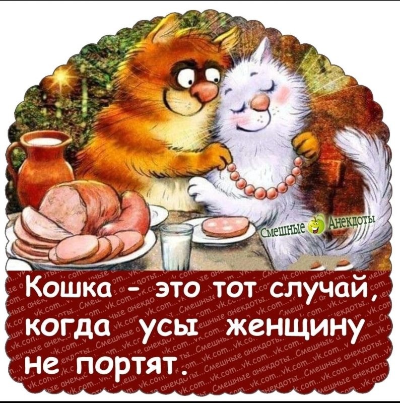 Солянка от 02.05.2025