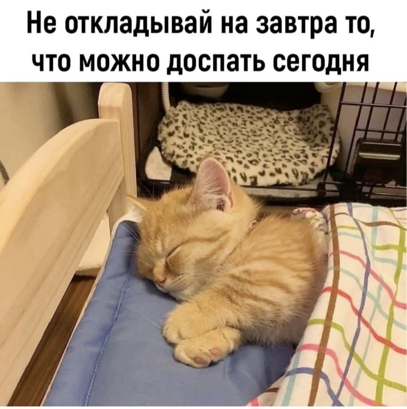 Солянка от 02.05.2025