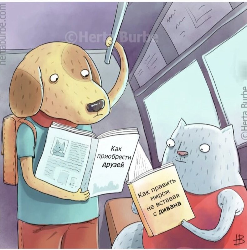 Солянка от 04.05.2025