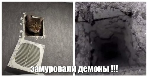 Кот сбежал к соседям через вентиляцию