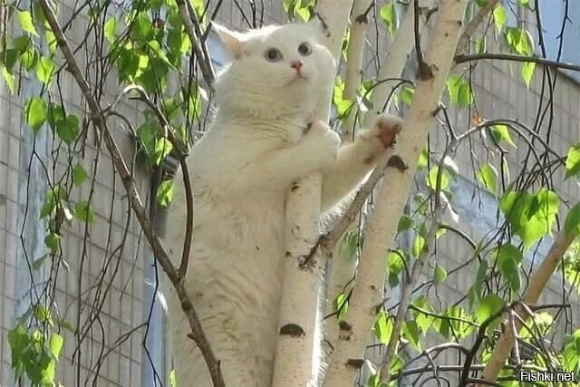 Солянка от 12.05.2025