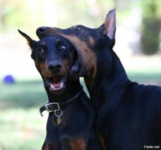 Солянка от 12.05.2025