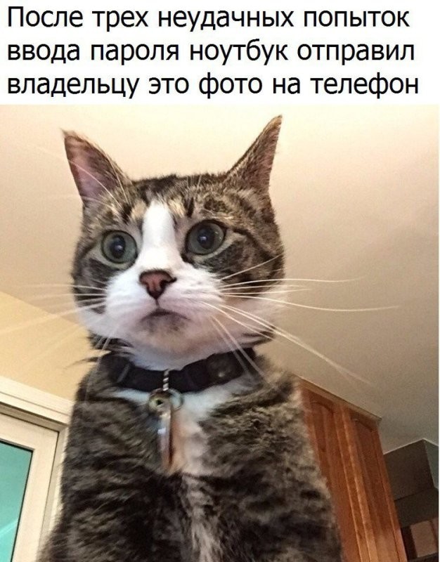 Доброе утро