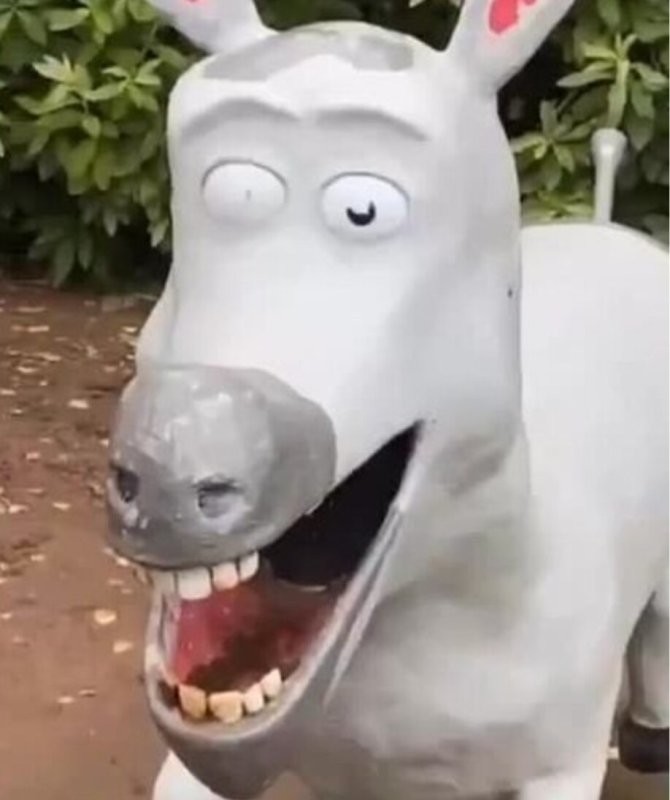 Доброе утро