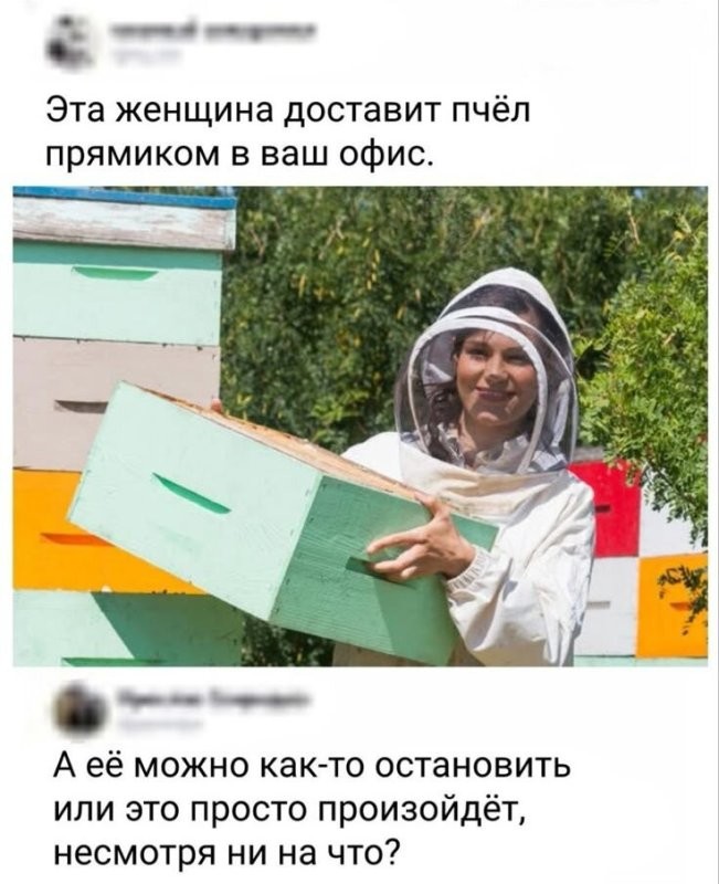 Солянка от 20.05.2025