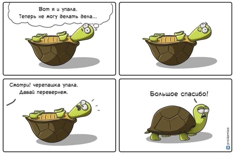 Солянка от 23.05.2025
