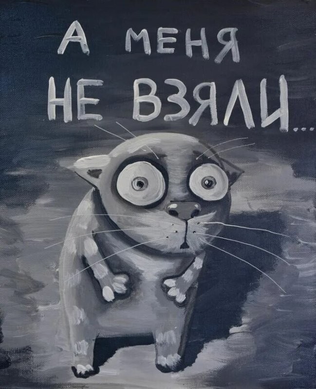 Солянка от 24.05.2025