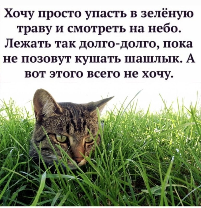 Солянка от 24.05.2025