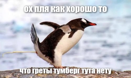 Пингвиньи какашки помогают бороться с «глобальным потеплением»