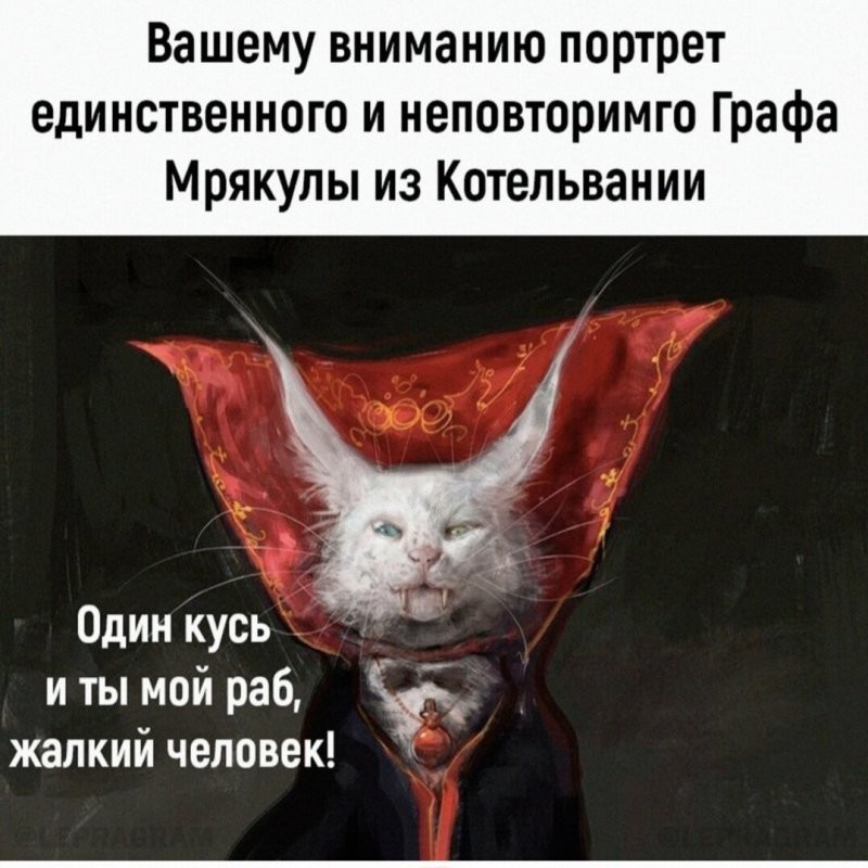 Солянка от 26.05.2025