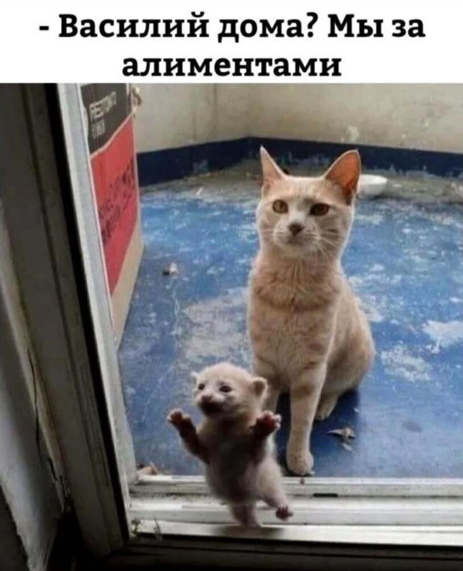 Солянка от 26.05.2025