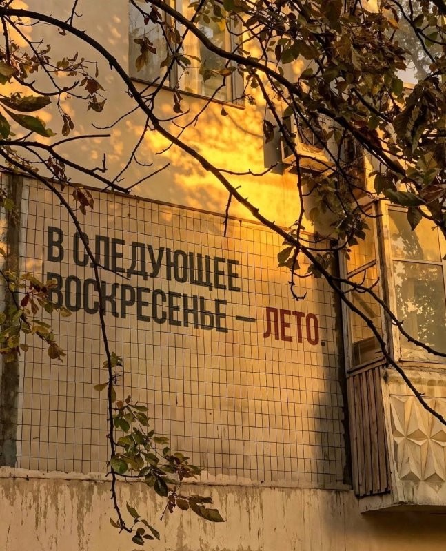 Солянка от 28.05.2025