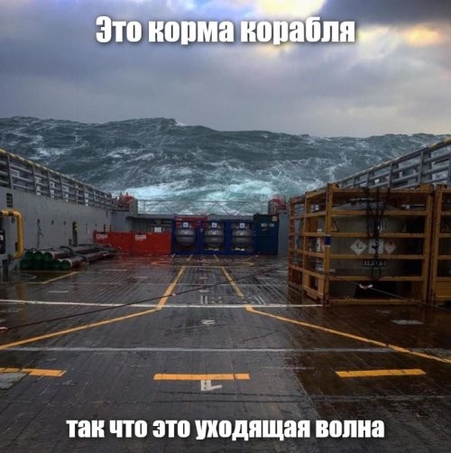 15 снимков, которые заставят сердце забиться быстро-быстро