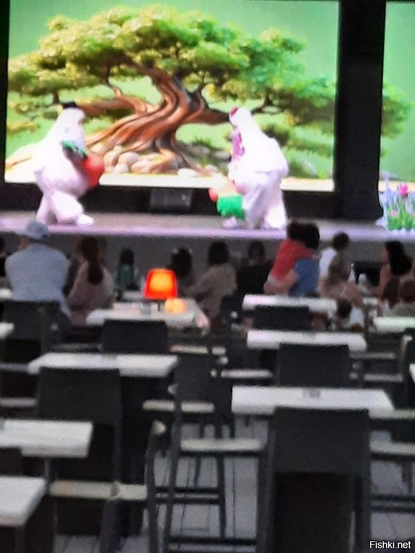 Солянка от 01.06.2025