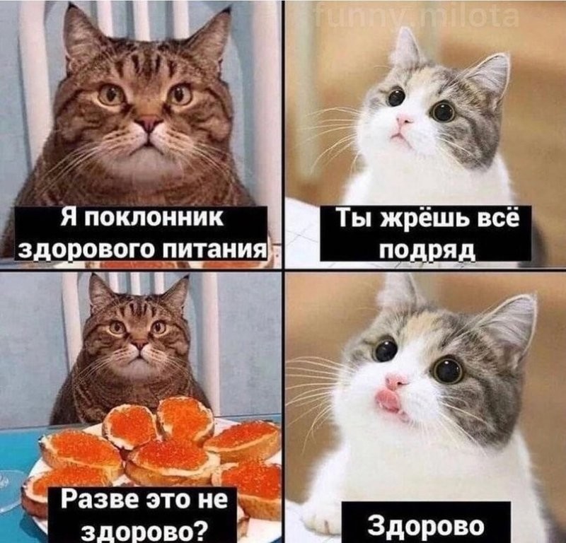 Солянка от 02.06.2025