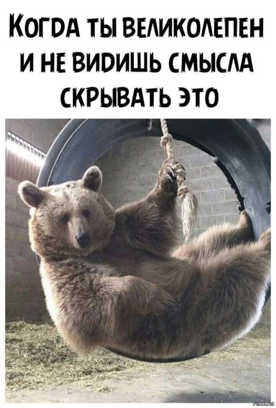Солянка от 02.06.2025