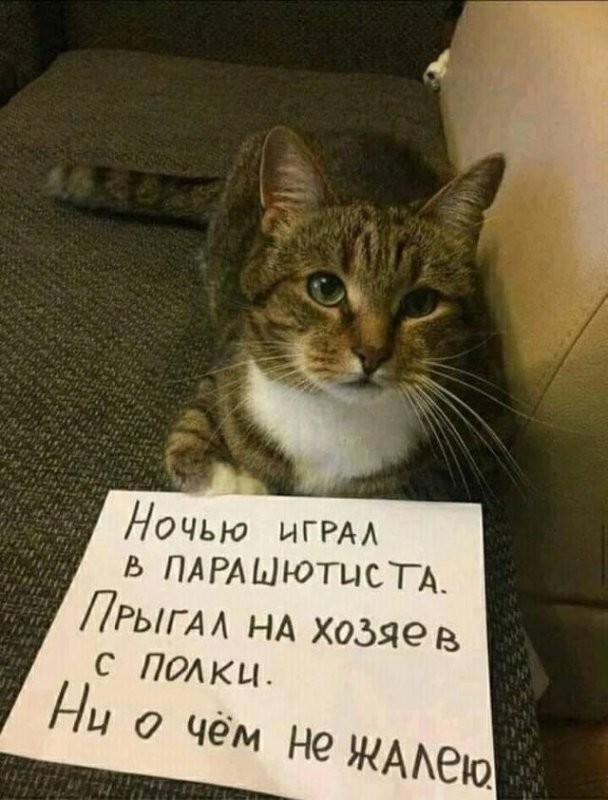 Солянка от 03.06.2025
