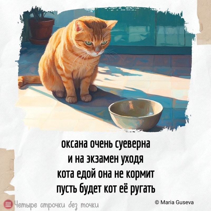 Солянка от 04.06.2025