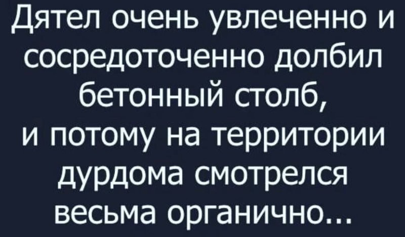 Как в баньке отсидел,  птичка наша красноголовая?