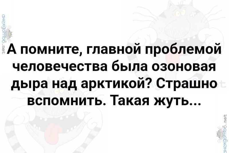 Солянка от 05.06.2025