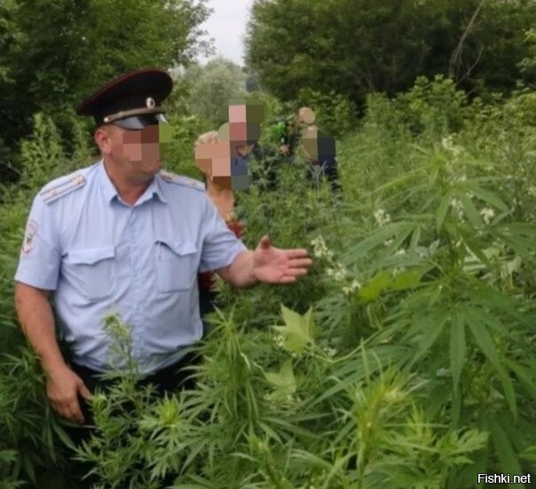 Чьи 40 соток?