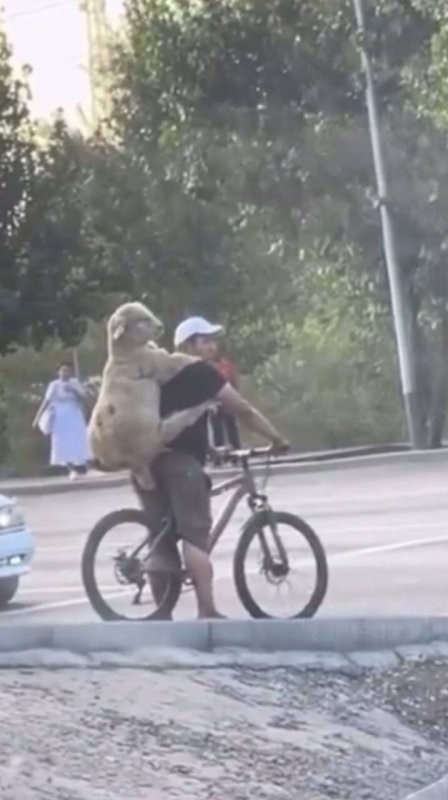 В Алма-Ате сегодня