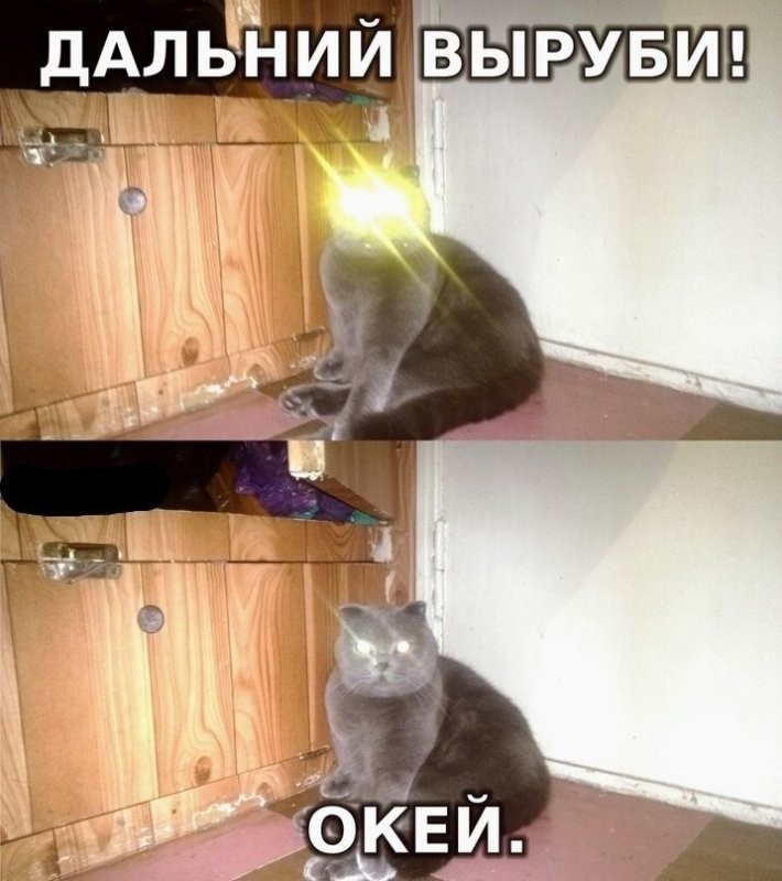 Солянка от 06.06.2025