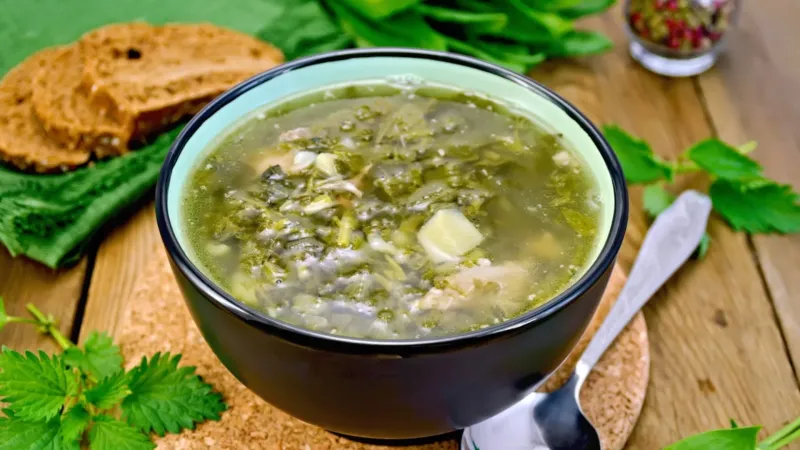 Почему нет?
 Сейчас молодая крапива - самый смак! Собирай голыми руками и готовь борщ, щи!