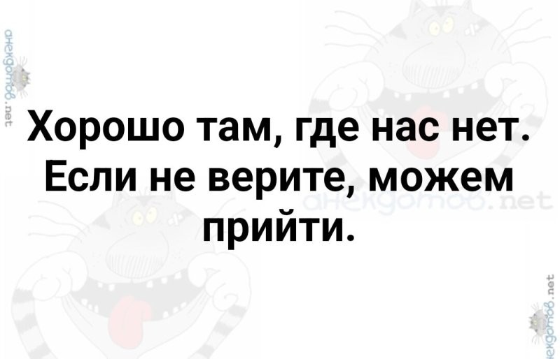 Солянка от 08.06.2025