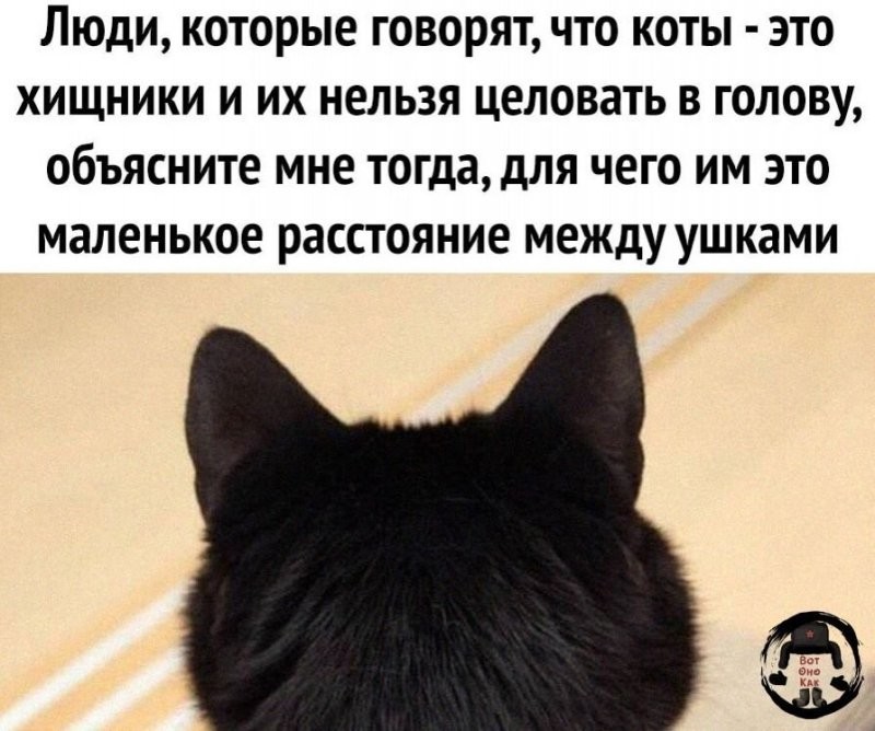 Солянка от 09.06.2025