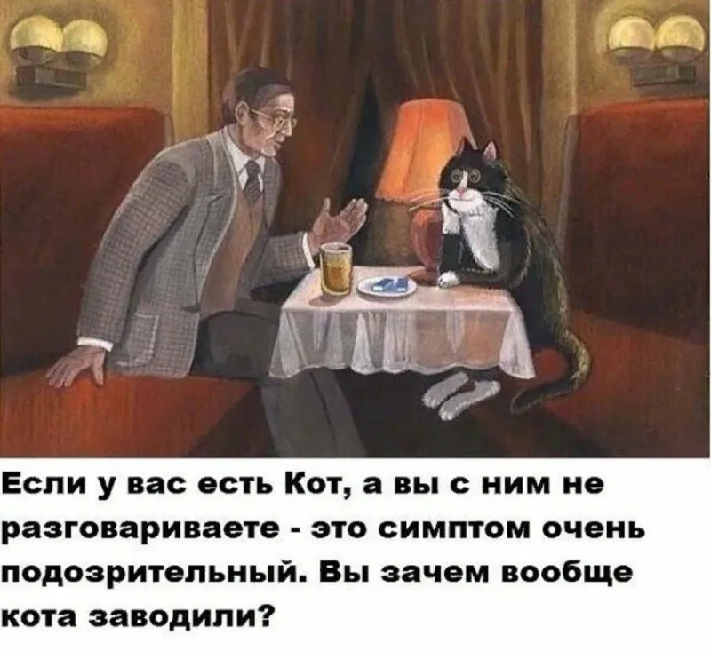 Солянка от 09.06.2025