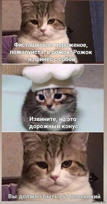 Доброе утро