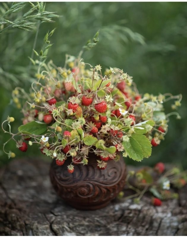13 июня, Еpeмeй Бoбoвник (Еpeмeй Ρacпpягaльник)