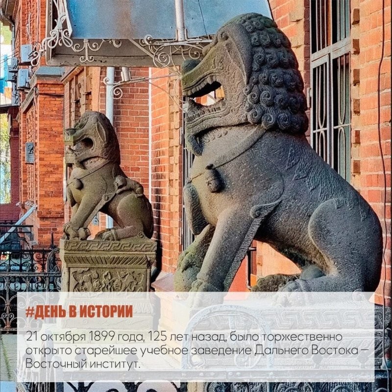 Солянка от 12.06.2025