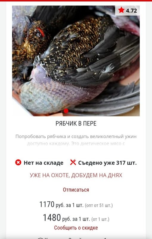 Солянка от 14.06.2025
