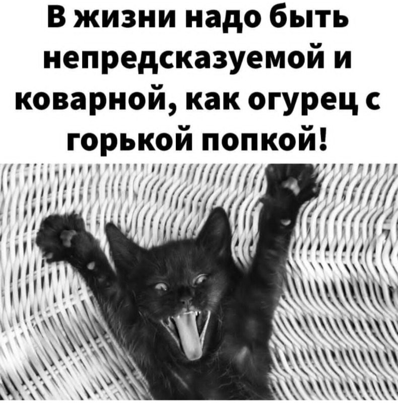 Солянка от 14.06.2025
