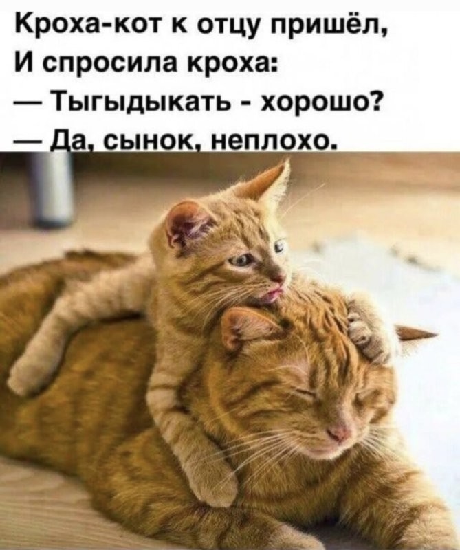 Доброе утро