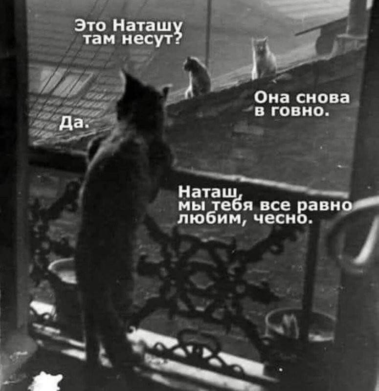 Солянка от 16.06.2025
