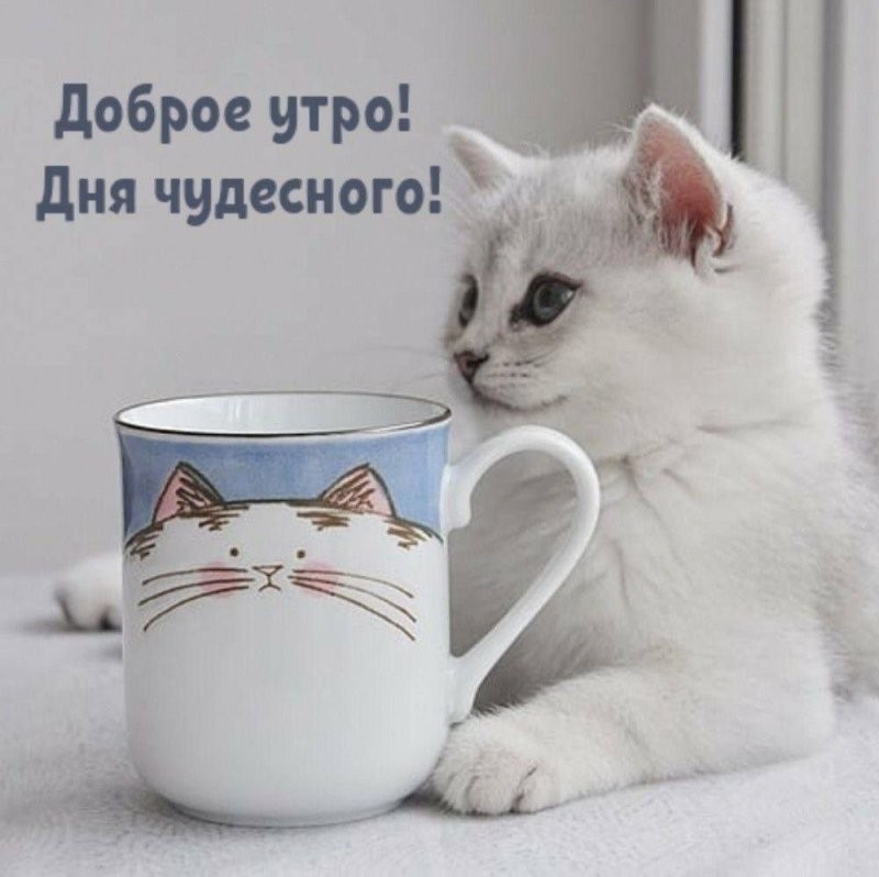Доброе утро