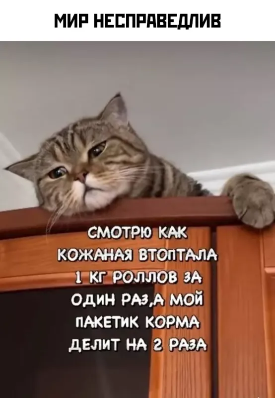Солянка от 18.06.2025