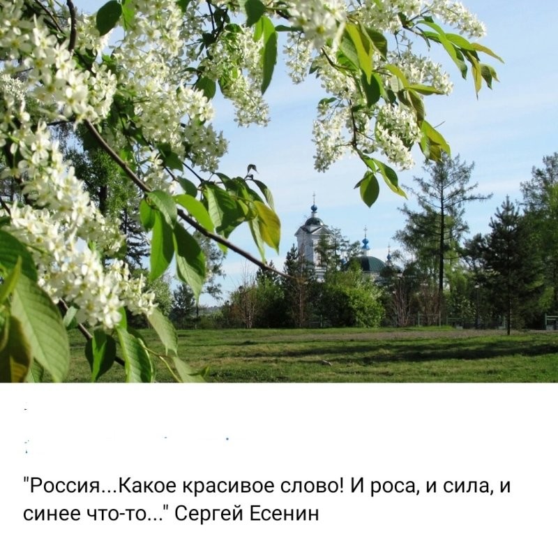 Солянка от 19.06.2025