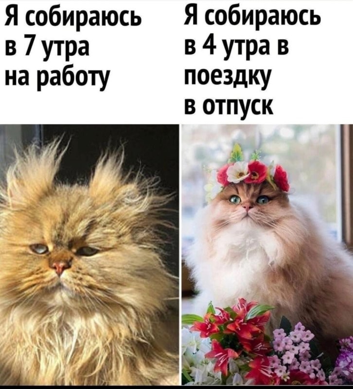 Солянка от 23.06.2025