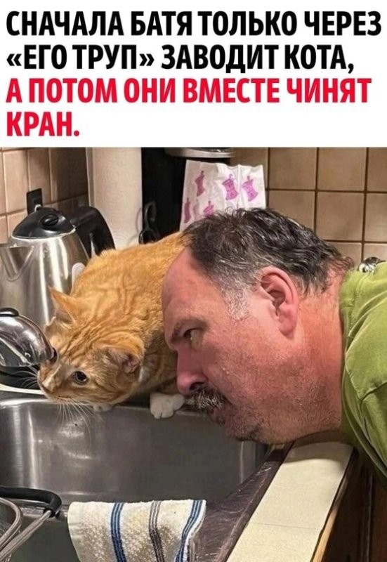 Кошек заводят женщины.
 А их лучшим другом и кормильцем становится мужчина. Почему?