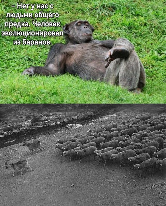 Всегда можно "правильно" объяснить. Даже "братве".