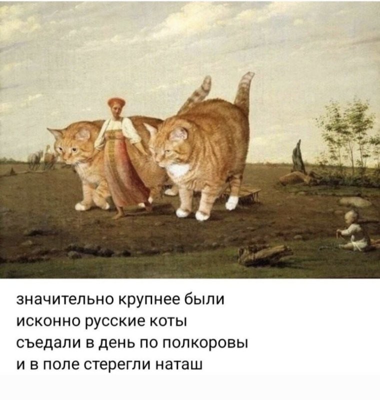 Солянка от 25.06.2025