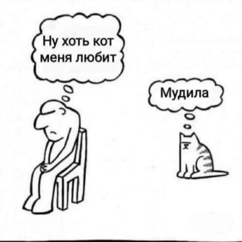 Не капай на пол МОЕЙ едой