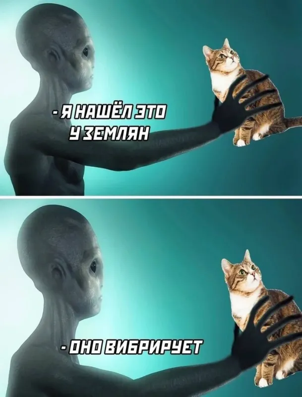 Солянка от 02.07.2025