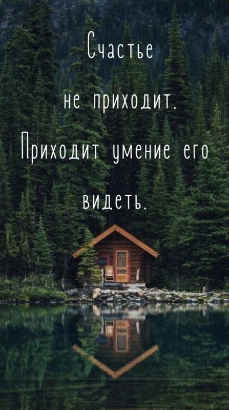 Солянка от 03.07.2025