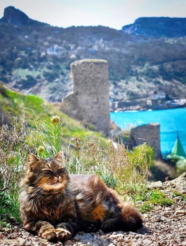 Солянка от 03.07.2025