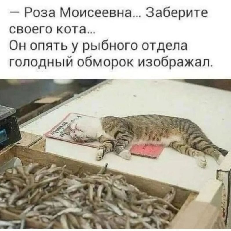 Солянка от 04.07.2025